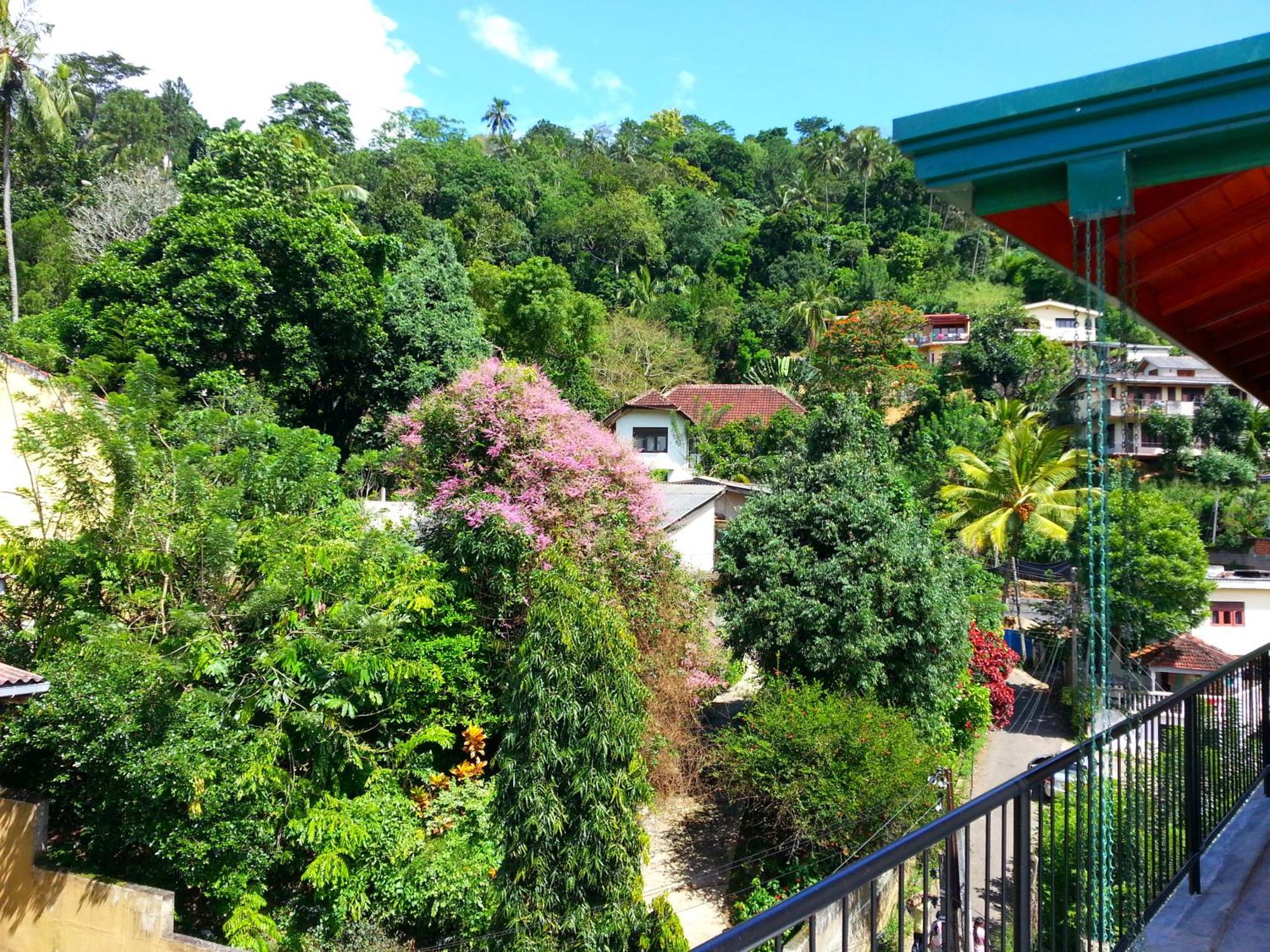 Villa 49 Kandy Zewnętrze zdjęcie